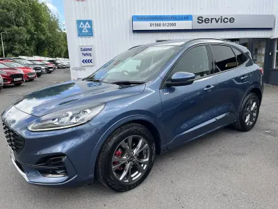 Used Ford Kuga ST-Line 150 HP (110 kW) 2024 Blue SUV