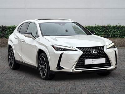 Used Lexus UX 250h 2023 White SUV