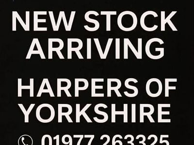 Used Jaguar XE R-Sport 2015 White Sedan