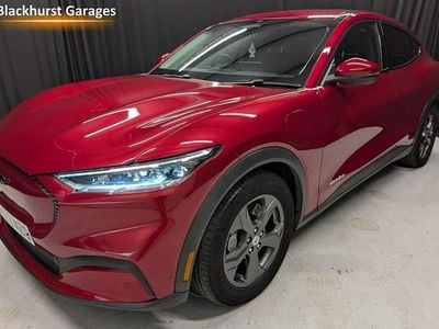 Used Ford Mustang Mach-E Standard Range 197 kW (269 HP) 2023 SUV