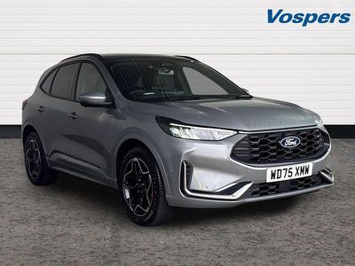 New Ford Kuga ST-Line X 150 HP (110 kW) 2025 Silver SUV