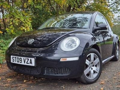 VW Beetle