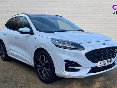 Used Ford Kuga ST-Line X 150 HP (110 kW) 2021 White SUV