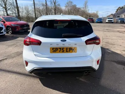 Used Ford Focus ST-Line 153 HP (112 kW) 2025 White Hatchback