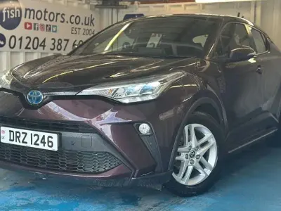 Used Toyota C-HR 122 HP (89 kW) 2023 Mauve/purple SUV