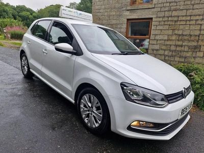 VW Polo