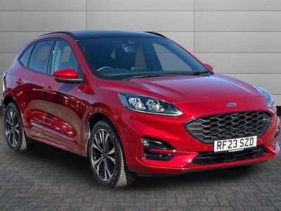 Used Ford Kuga ST-Line X 150 HP (110 kW) 2023 Red SUV