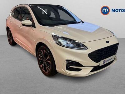 Used Ford Kuga ST-Line X 224 HP (164 kW) 2023 White SUV