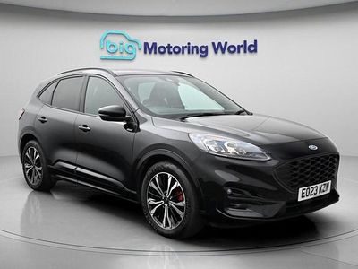 Used Ford Kuga ST-Line X 150 HP (110 kW) 2023 Black SUV