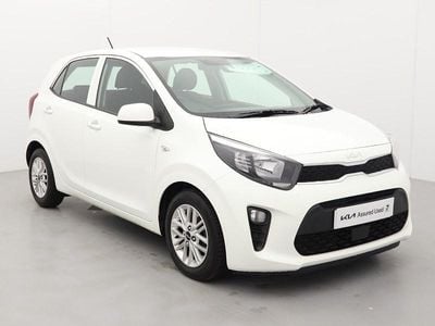 Used Kia Picanto 66 HP (48 kW) 2023 White Hatchback