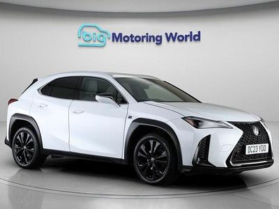 Used Lexus UX 250h Sport Design Packet 184 HP (135 kW) 2023 White SUV