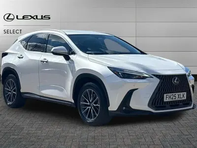 Used Lexus NX450h+ 309 HP (227 kW) 2025 White SUV
