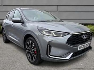 Used Ford Kuga ST-Line X 239 HP (175 kW) 2025 Silver SUV