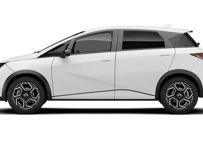 New BYD Dolphin Design 150 kW (204 HP) 2026 Hatchback