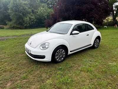 VW Beetle