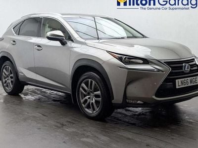 Used Lexus NX300h Luxury Line 2016 SUV