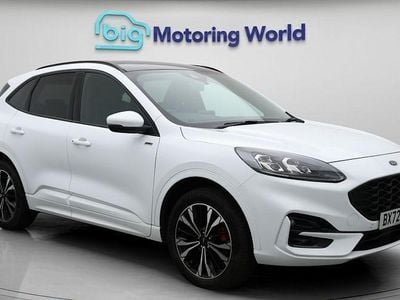 Used Ford Kuga ST-Line X 225 HP (165 kW) 2022 White SUV