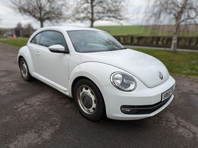 VW Beetle