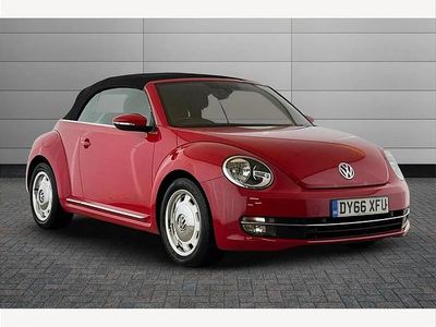 VW Beetle