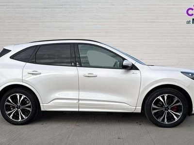 Käytetty Ford Kuga ST-Line X 225 HP (165 kW) 2024 Valkoinen Katumaasturi