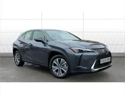 Usado Lexus UX 300e