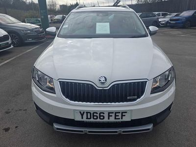 Used Skoda Octavia Scout 4x4 135 HP (99 kW) 2016 White Hatchback