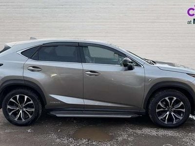 Used Lexus NX300h Sport Line 195 HP (143 kW) 2016 Silver SUV
