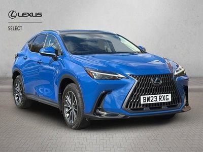 Used Lexus NX350h 2023 Blue Estate