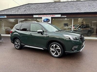 Used Subaru Forester Premium 2024 Green SUV