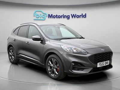 Used Ford Kuga ST-Line 150 HP (110 kW) 2022 Grey SUV