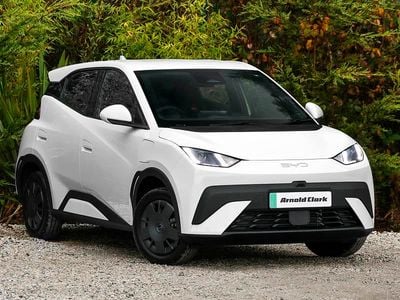 White New 2025 BYD Dolphin Surf Active Hatchback | £18,595 (Fair price)