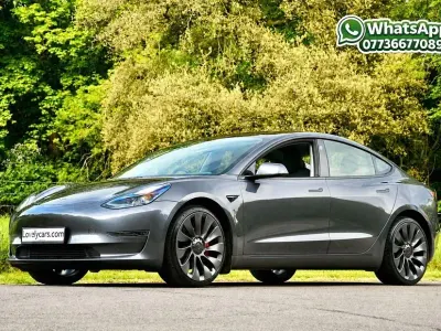 Usado Tesla Model 3 Performance 11 kW (15 CV) 2022 Berlina