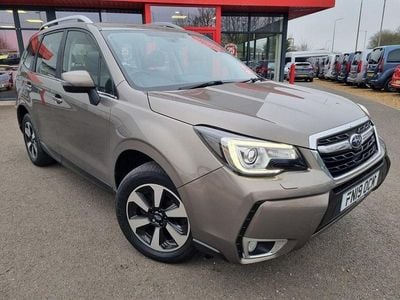 Used Subaru Forester XE 150 HP (110 kW) 2019 Gold SUV