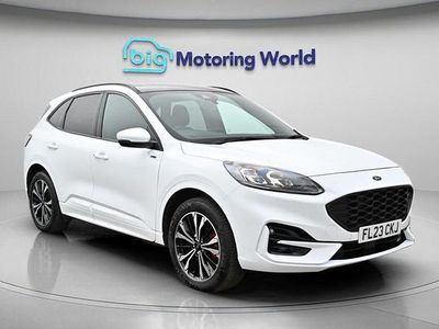 Used Ford Kuga ST-Line X 225 HP (165 kW) 2023 White SUV