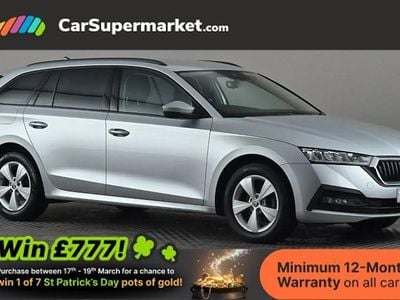 Used Skoda Octavia SE 110 HP (80 kW) 2023 Silver Estate