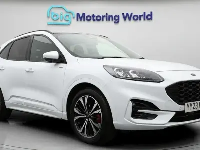 Used Ford Kuga ST-Line X 150 HP (110 kW) 2023 White SUV