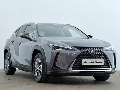 Used Lexus UX 150 kW (204 HP) 2023 Grey SUV