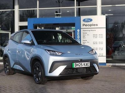 Blue New 2025 BYD Dolphin Boost Hatchback | £17,796 (Good price)