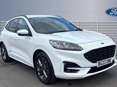 Käytetty Ford Kuga ST-Line 150 HP (110 kW) 2023 Valkoinen Katumaasturi