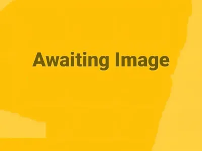 Used Citroën Berlingo 75 HP (55 kW) 2019 White MPV