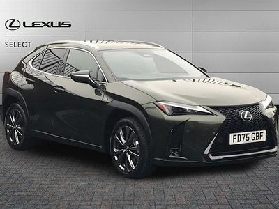New Lexus UX 300h Sport Design Packet 199 HP (146 kW) 2025 Unknown SUV
