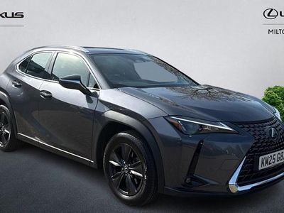 Used Lexus UX 300h 2025 Grey SUV