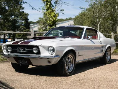 Used Ford V8 Fastback 1967 White Coupe
