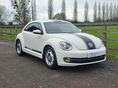 VW Beetle