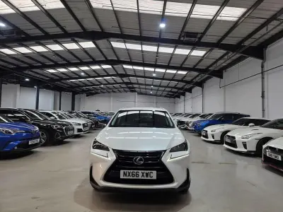 Used Lexus NX300h Sport Line 2016 White SUV