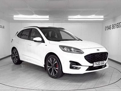 Used Ford Kuga ST-Line X 190 HP (139 kW) 2020 White SUV