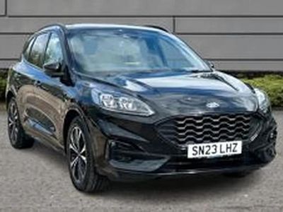Used Ford Kuga ST-Line X 187 HP (137 kW) 2023 Black SUV