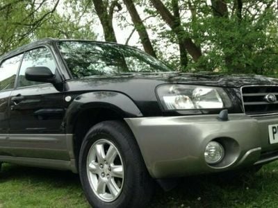 Used Subaru Forester 2004 SUV