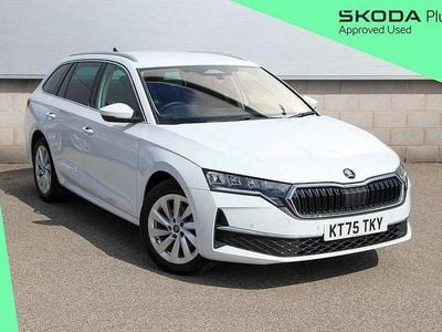 New Skoda Octavia SE L 147 HP (108 kW) 2026 White Estate