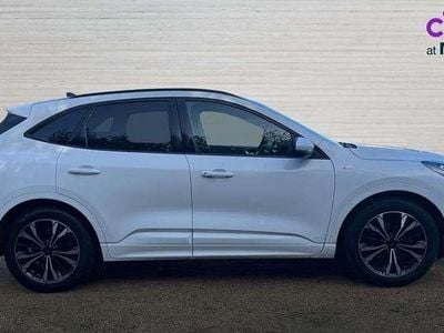 Used Ford Kuga ST-Line X 150 HP (110 kW) 2021 White SUV